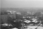 Blick aus meinem Stusta-Fenster Richtung Altstadt/EWH
