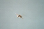 Su-33 Flug inklusive Cobra Manver
