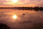 Fasaneriesee, Feldmoching
