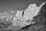 Rosengarten
