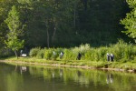 Kochelsee
