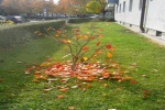 M�nchen, Schopenhauerstrasse

