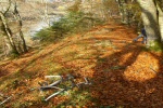 Isartal bei Gr�nwald
