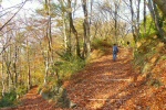 Isartal bei Gr�nwald
