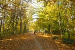 Isar - Promenade bei Gr�nwald
